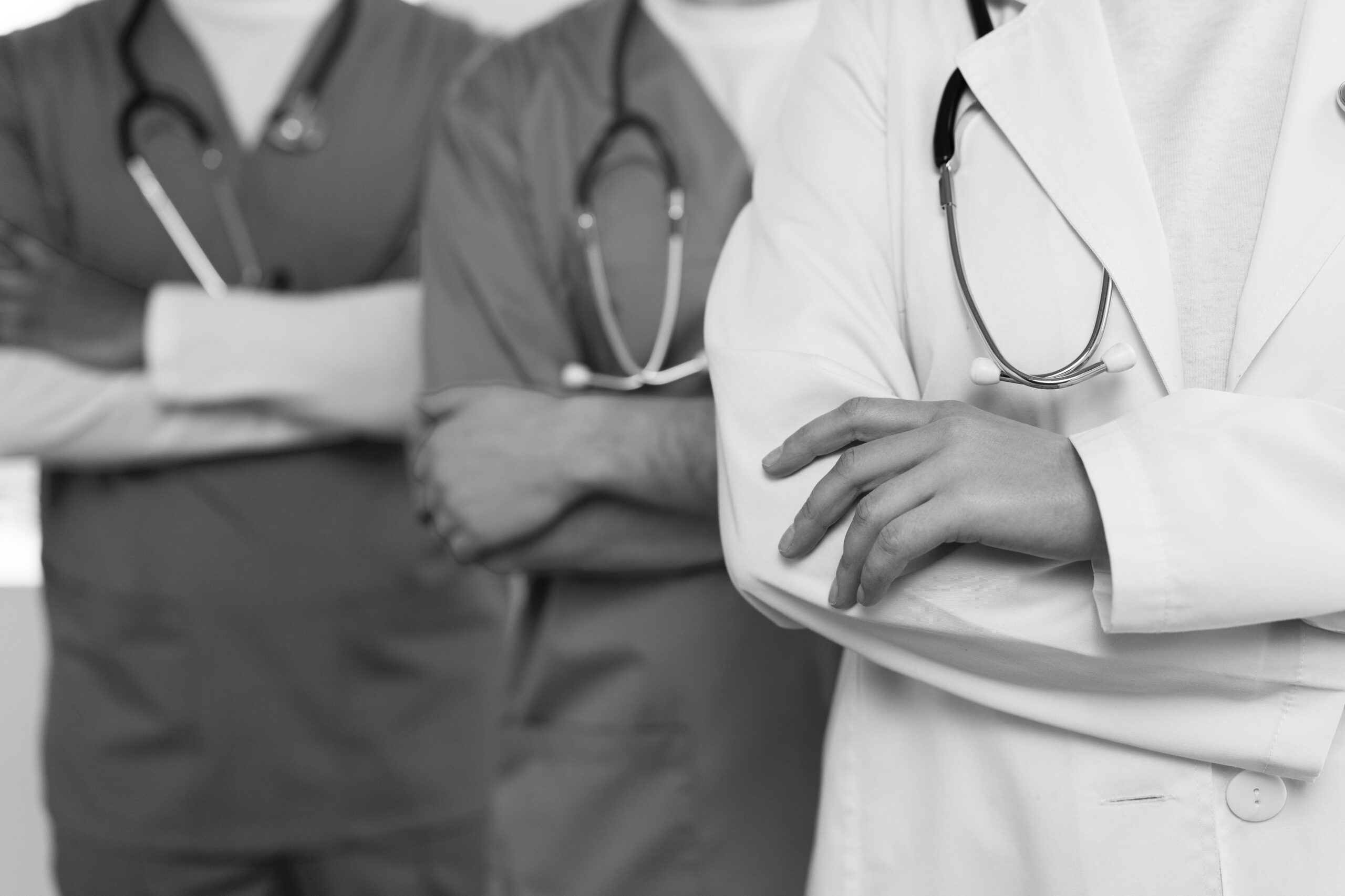 Professionals at work.